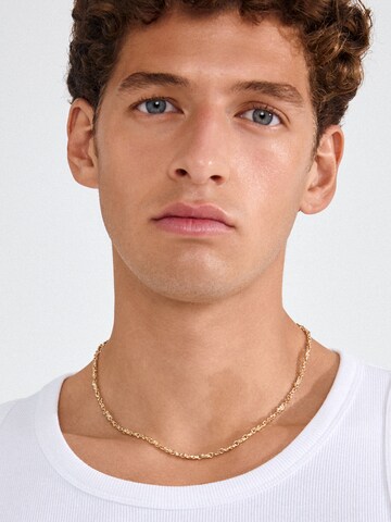 Pilgrim Αλυσίδα 'NOVA' σε χρυσό