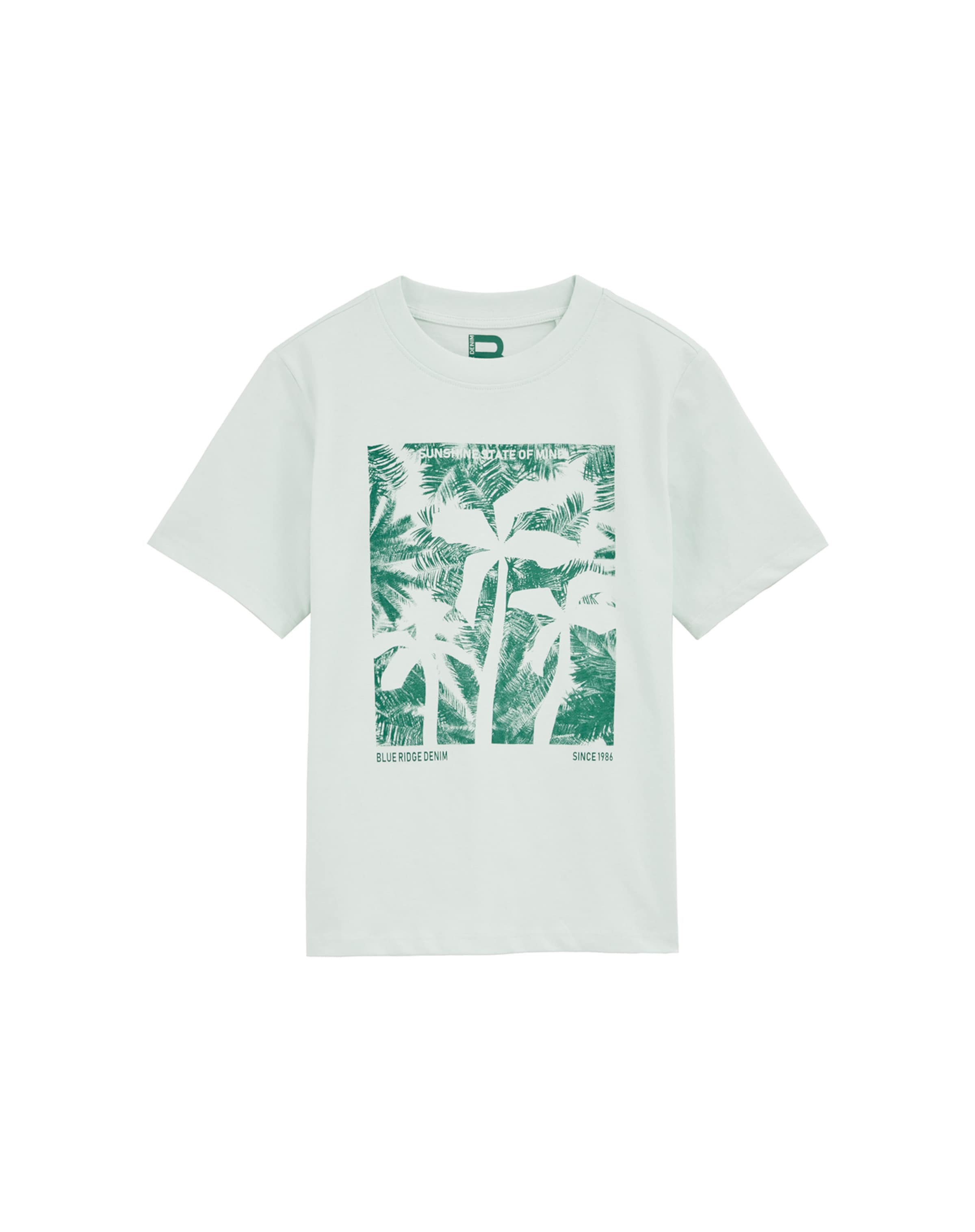 Maglietta di WE Fashion in verde: frontale