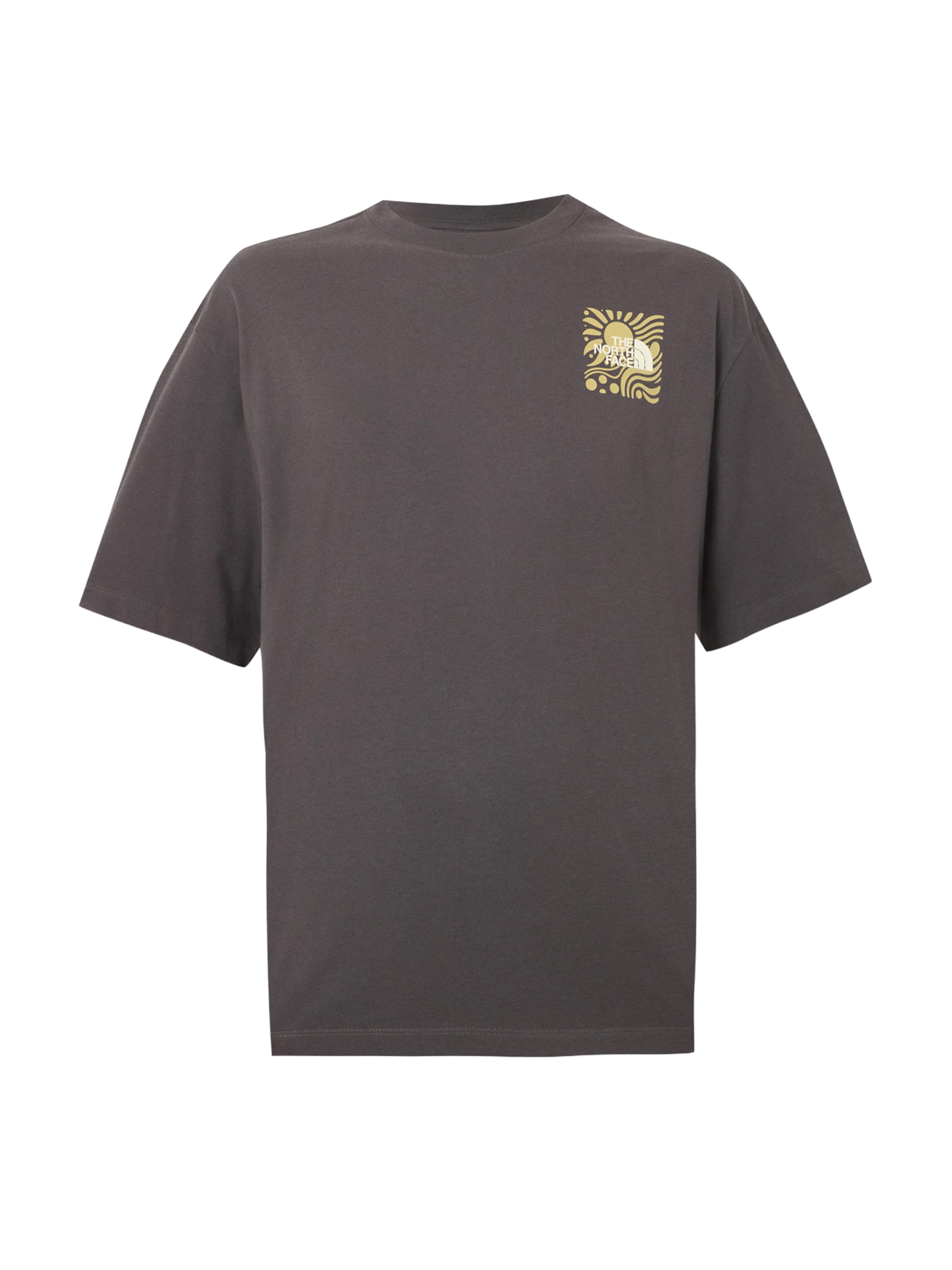THE NORTH FACE Shirt 'SUN' in Grey: front