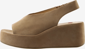 Sandales à lanières ' MIMI ' Högl en marron : devant