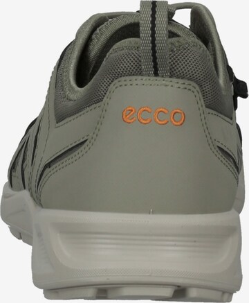 ECCO Athletic Lace-Up Shoes 'Terracruise' in Green