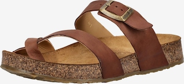 Séparateur d'orteils HAFLINGER en marron : devant