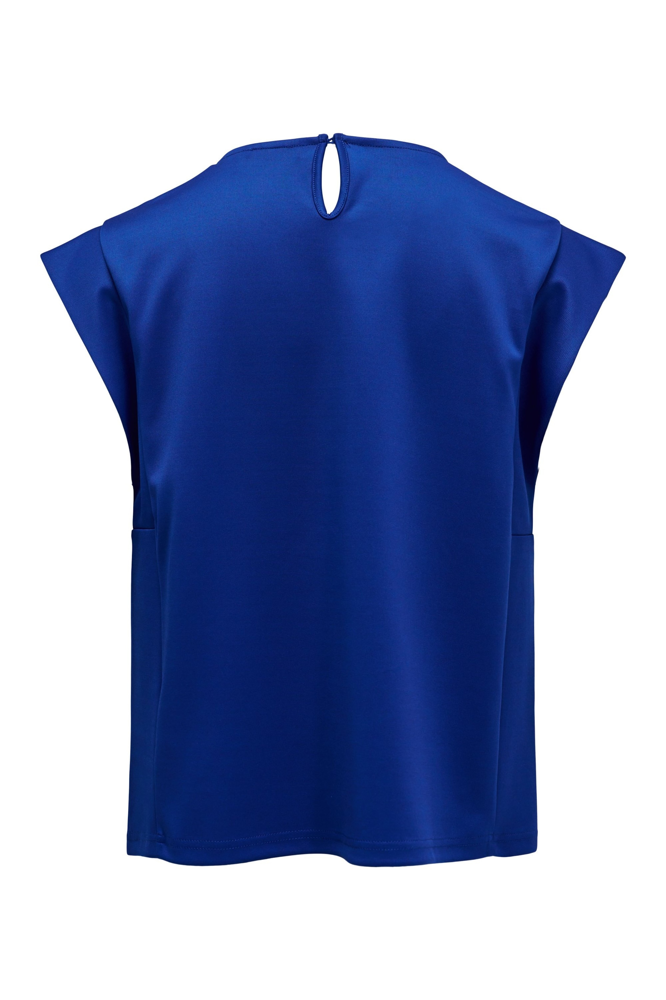 Salsa Jeans T-shirts in Blau