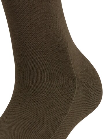 FALKE Knee High Socks 'Family' in Green