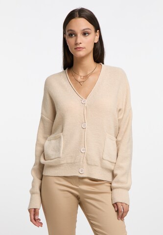 RISA Gebreid vest 'Teylon' in Beige: voorkant