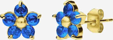 Lucardi Oorbellen in Blauw: voorkant