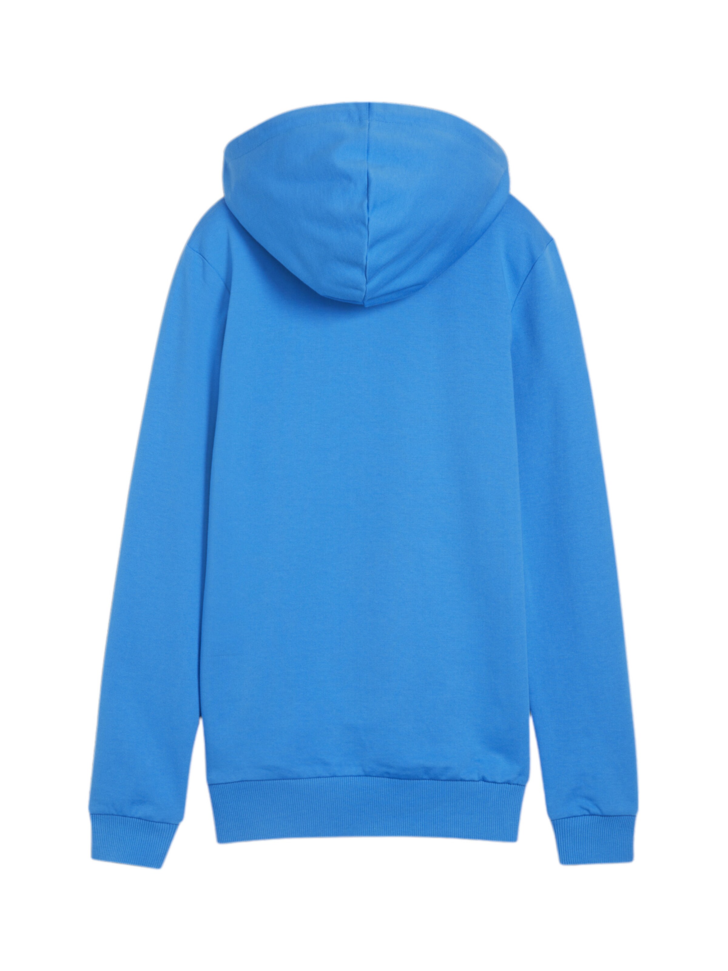 PUMA Athletic Sweatshirt in Blue