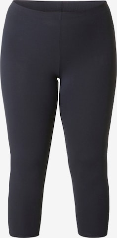 BASE LEVEL CURVY Leggings in Blau: Vorderseite