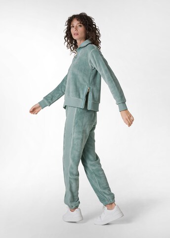 DEHA Sweatshirt in Groen
