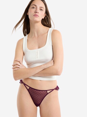 ETAM String 'Surprise S25' in Lila