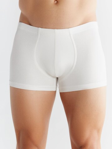 Albero Natur Boxer shorts 'Bio-Baumwoll-Herren Retroshorts -2er Pack' in White: front