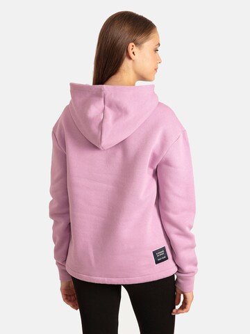 Antioch Sweatshirt in Lila