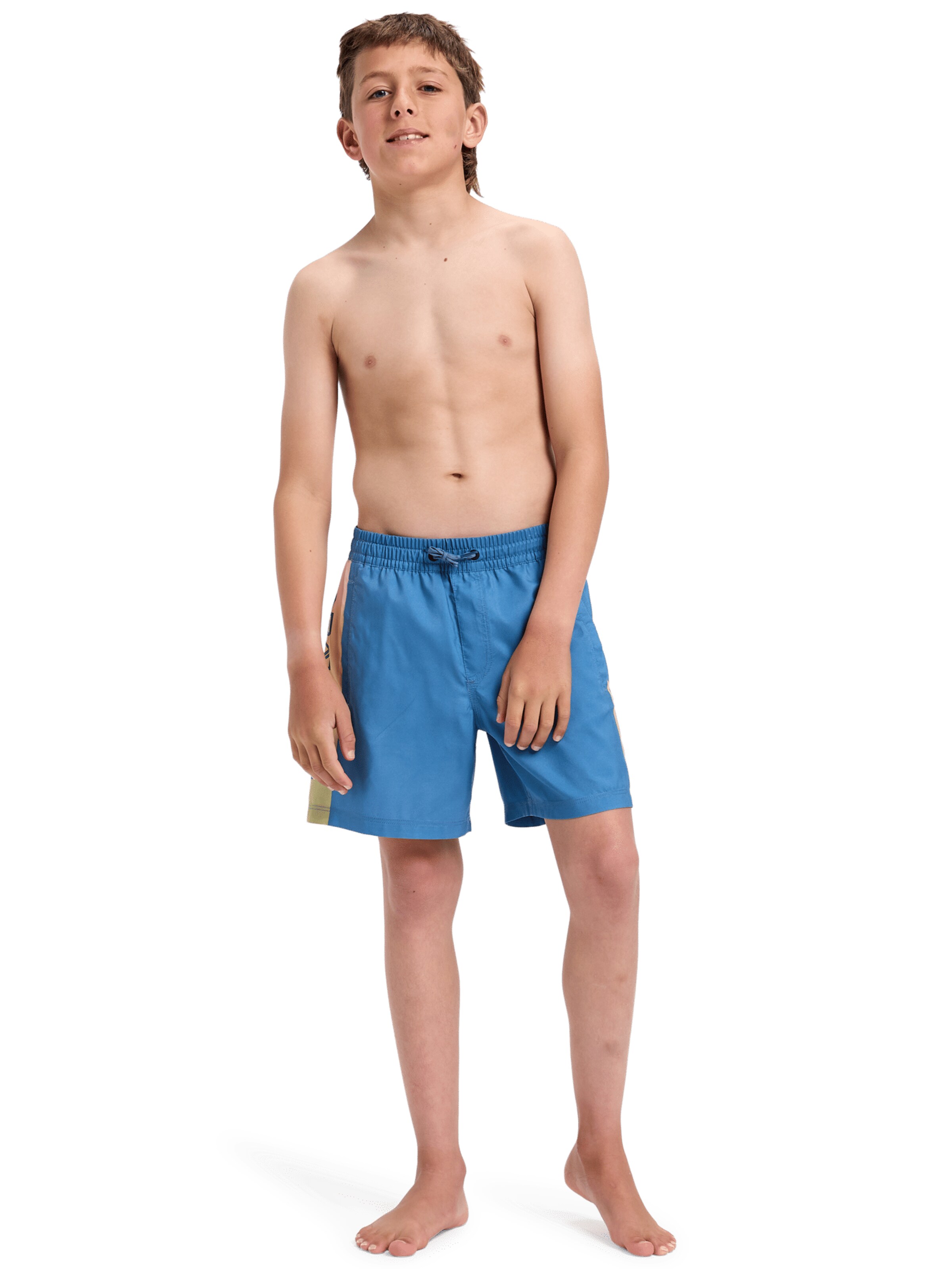 QUIKSILVER Sportbadeshorts 'Everyday Holmes 14' in Blau