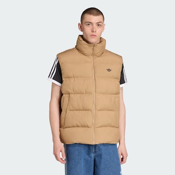 Gilet ADIDAS ORIGINALS en marron : devant