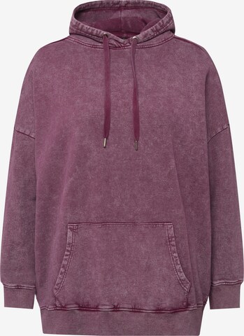 Sweat-shirt Studio Untold en violet : devant