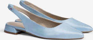 LLOYD Pumps in Blau