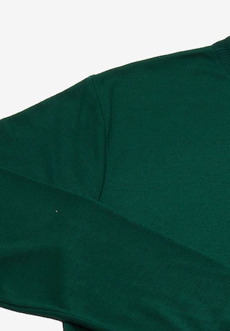 Pullover di RAIDO in verde