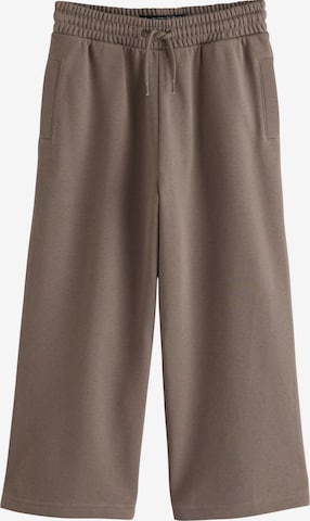 Next Pants in Brown: front