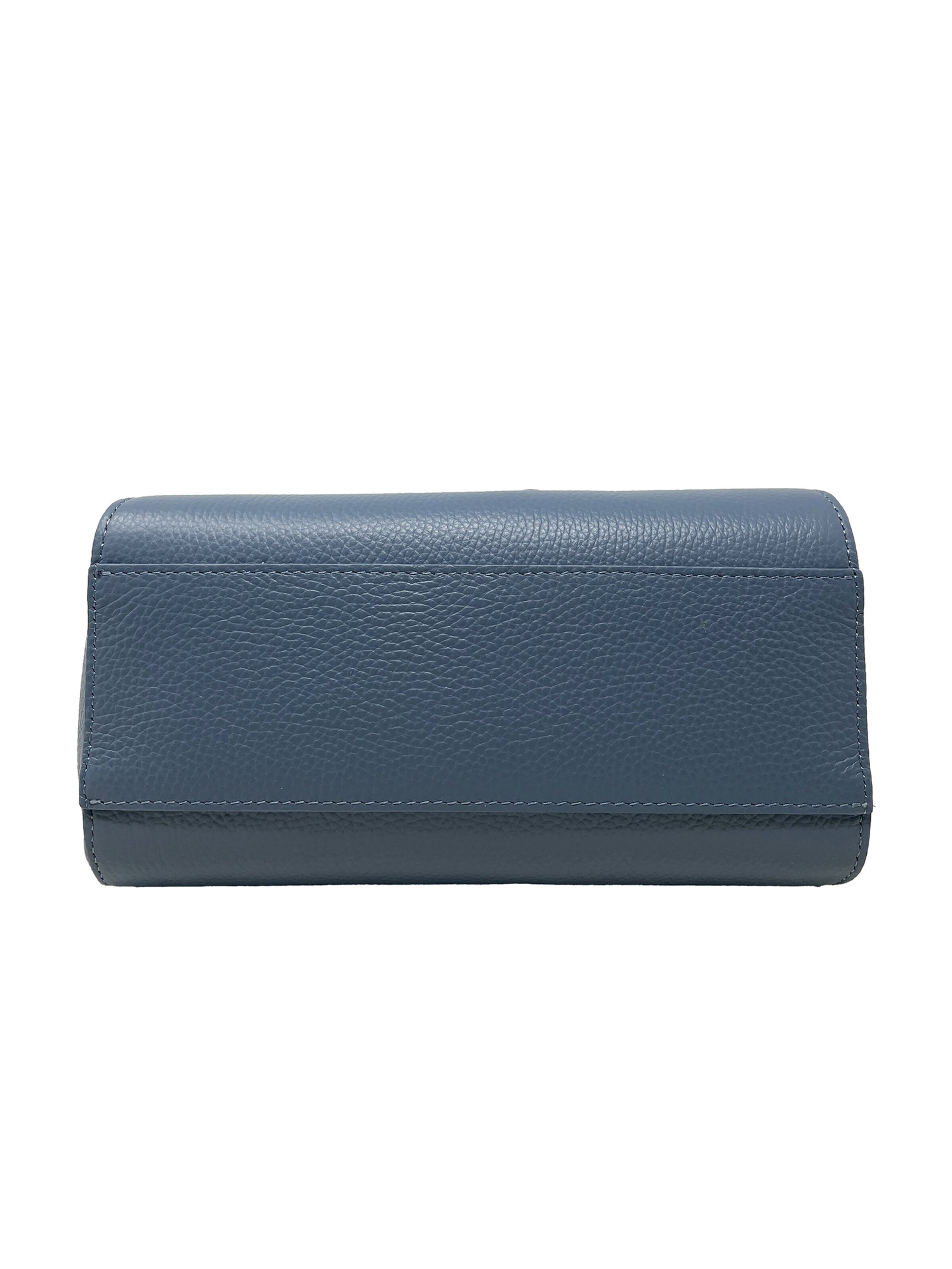 CHICCA BORSE Handbag in Blue