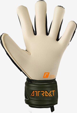 REUSCH Athletic Gloves 'Attrakt Freegel Gold X' in Green