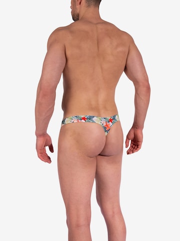 Olaf Benz Panty in Mixed colors