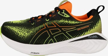 Chaussure de course 'Cumulus 25' ASICS en noir