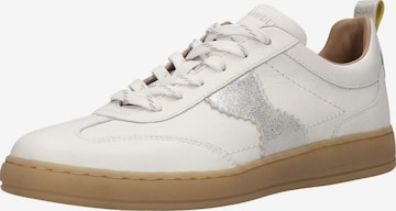SALAMANDER Sneakers in White: front
