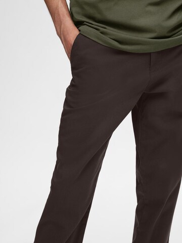 SELECTED HOMME Slimfit Chino nadrág 'Miles Flex' - barna