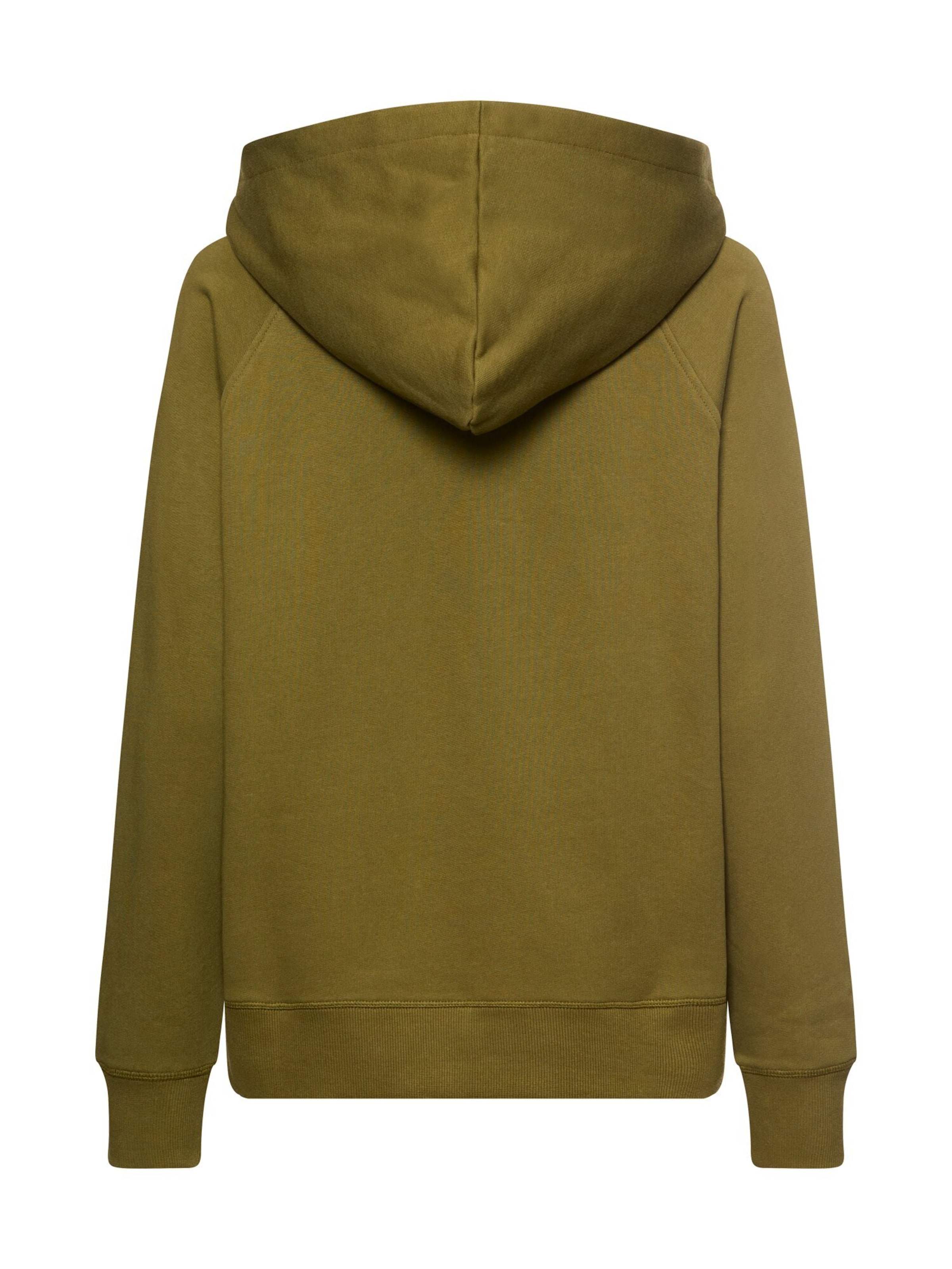 CAMEL ACTIVE Sweater in Green