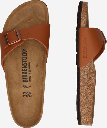 BIRKENSTOCK Mules 'Madrid' in Brown