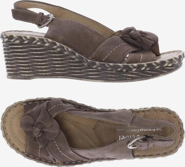 JOSEF SEIBEL Sandals & High-Heeled Sandals in 38 in Brown: front