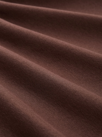 TOM TAILOR Shirt in Brown