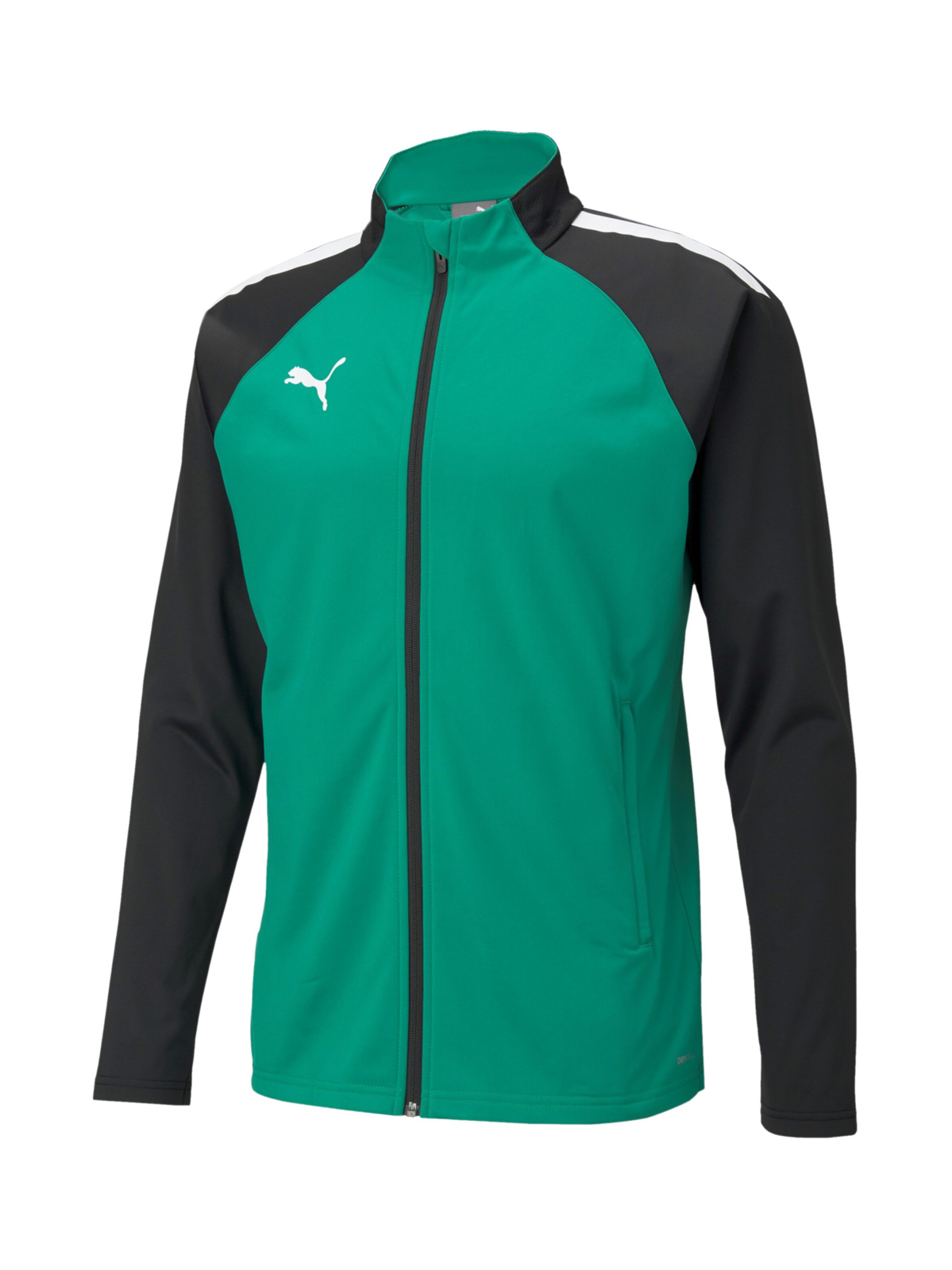 PUMA Athletic Jacket 'TeamLIGA' in Green