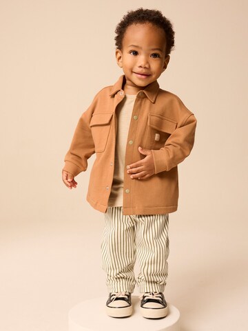 Set Next en marron