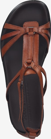 ECCO Strap Sandals in Brown