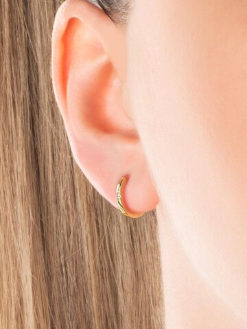 Boucles d'oreilles So Chic en or
