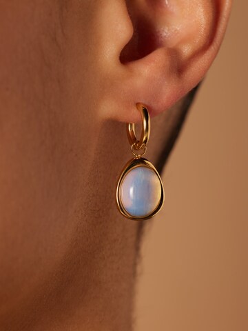 Boucles d'oreilles Lucardi en or : devant