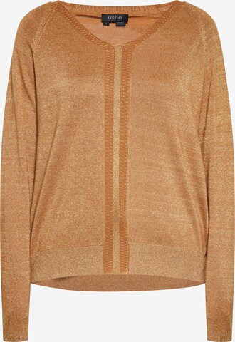 Pull-over usha BLACK LABEL en marron : devant