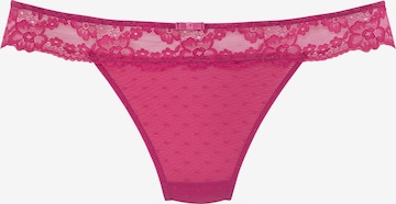VIVANCE String in Lila: front