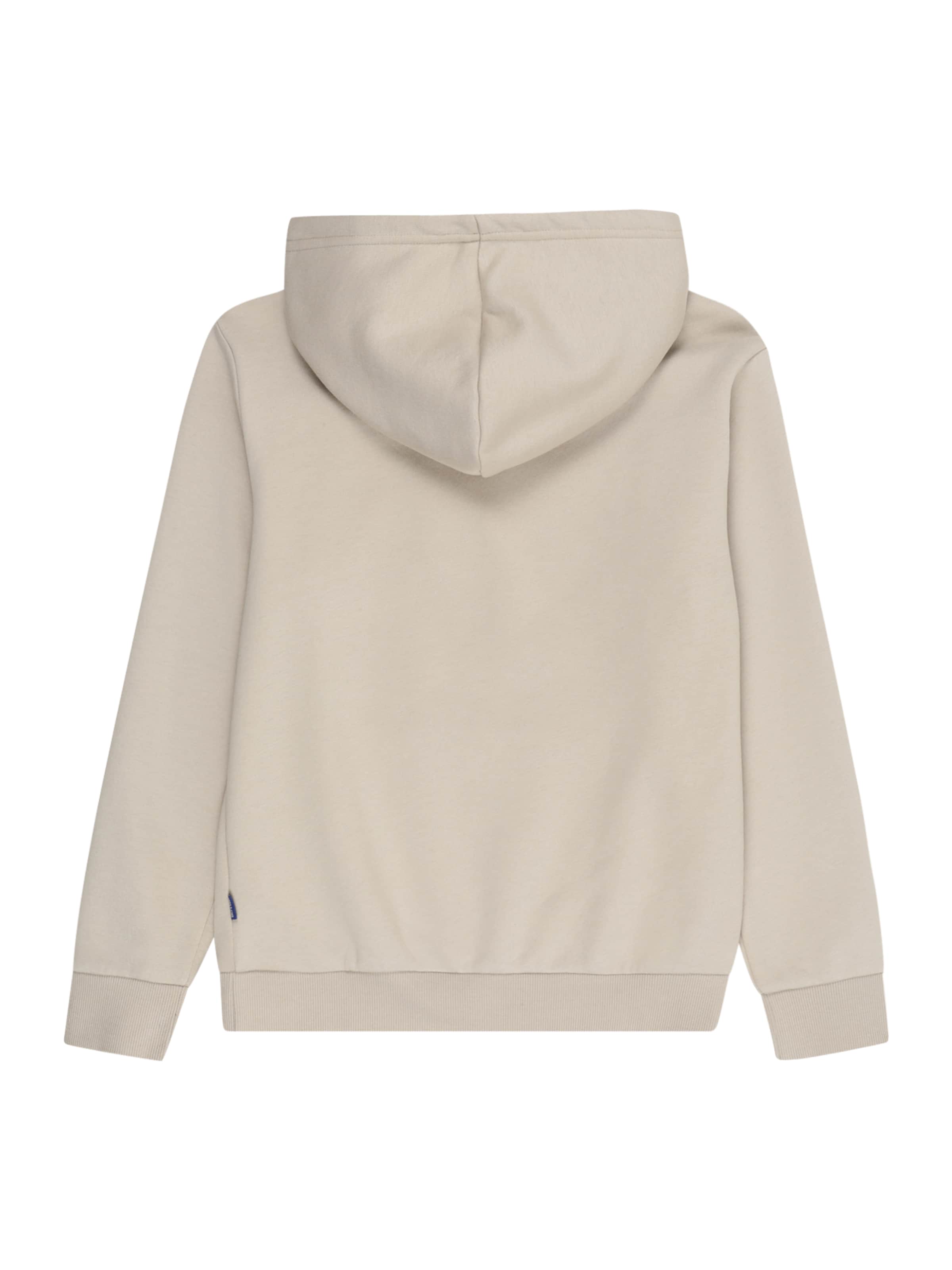 Only & Sons Junior Sweatshirt 'OSJCeres' in Beige