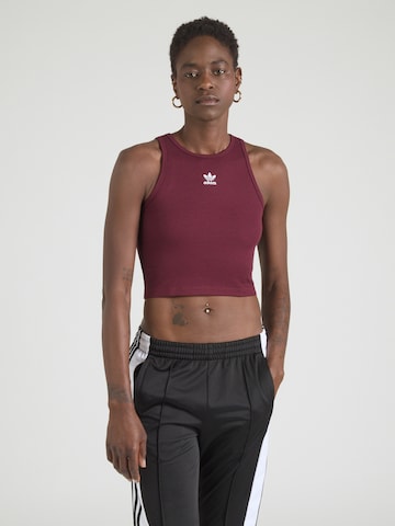 ADIDAS ORIGINALS Top 'Adicolor Essentials' w kolorze brązowy: przód