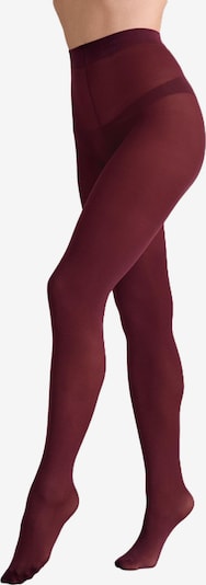 Next Nylonsukkahousut värissä merlot, Tuotenäkymä