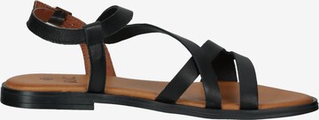 ILC Strap Sandals in Black