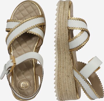 GERRY WEBER Sandals 'Bari' in White