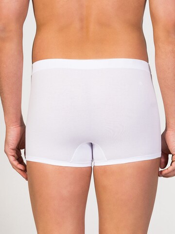 zd ZERO DEFECTS Boxer shorts 'Ikaria Trunk' in White