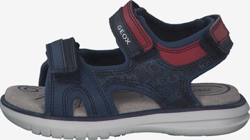 GEOX Offene Schuhe 'J15DRB' in Blau