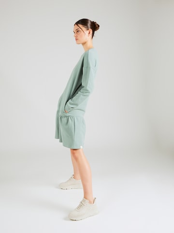 Ragwear Obleka | zelena barva