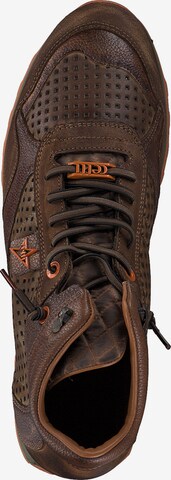 Cetti High-Top Sneakers in Brown