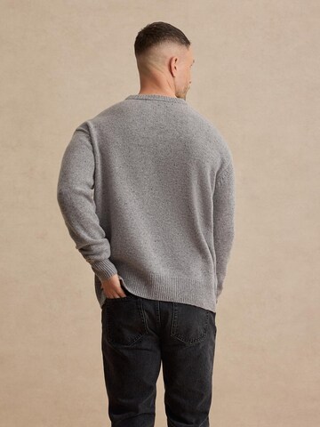 DAN FOX APPAREL Свитер 'Elia' в Серый