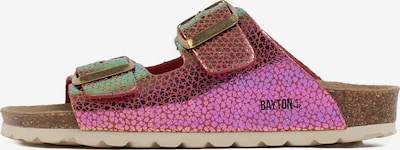 Bayton Chaussures ouvertes 'Atlas' en vert / rose / rouge, Vue avec produit